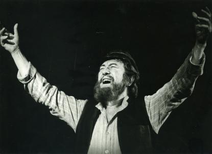 Hegedűs a háztetőn, Operettszínház